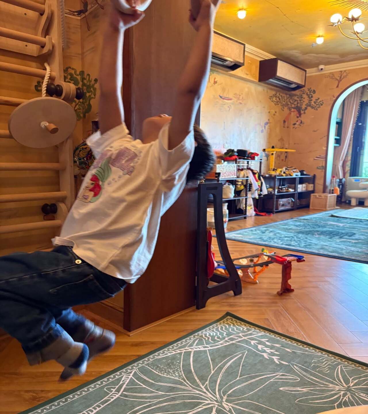 Vayu's adventurous streak is on display! He effortlessly hangs from a monkey bar at home, showing off his dexterity